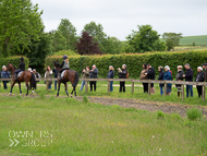 CH290522-40 - Charlie Hills Stable Visit